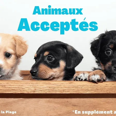 דירה Cosy A 50m De La A St Hilaire De Riez - Fr-1-323-561 *