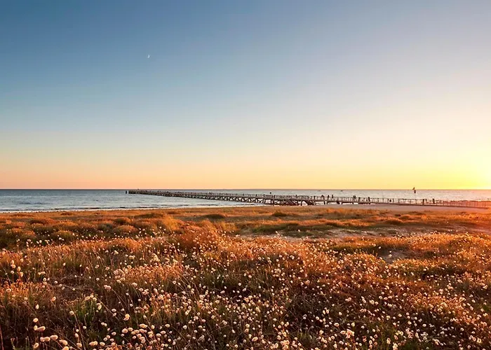 Cosy A 50m De La A St Hilaire De Riez - Fr-1-323-561 *