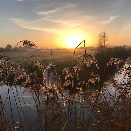 아파트 Cosy A 50m De La A St Hilaire De Riez - Fr-1-323-561 *