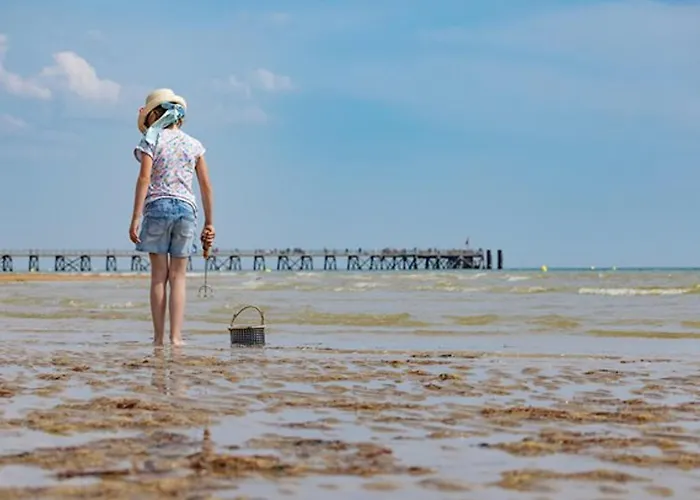 아파트 Cosy A 50m De La A St Hilaire De Riez - Fr-1-323-561 생 힐레르 드 리에