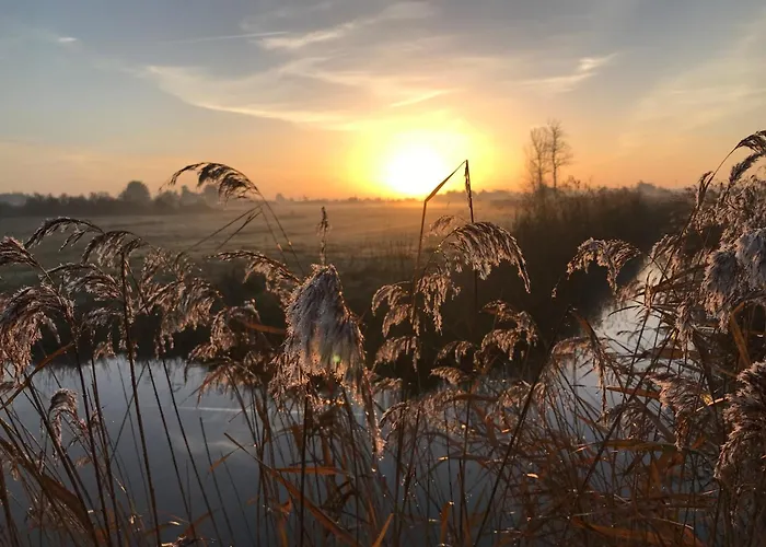 아파트 Cosy A 50m De La A St Hilaire De Riez - Fr-1-323-561 *